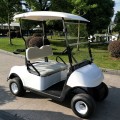 Lithium battery powered 2 seater golf cart