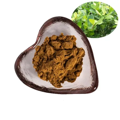 factory supply mate tea extract powder 10:1/mate tea powder