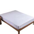 /msite/products/detail/productid/62285252/id/1337126.html
