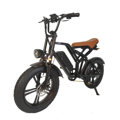 Snow retro electric bicycle