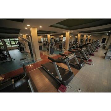 400㎡ Commercial Gym Equipment Package