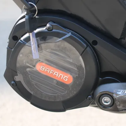 Rohloff 14-Speed Electric Hybrid Bike with Bafang Motor and Dual Batteries