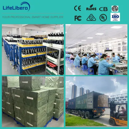 Lifelibero Tuya WiFi 3D Face Recognition Smart Door Lock