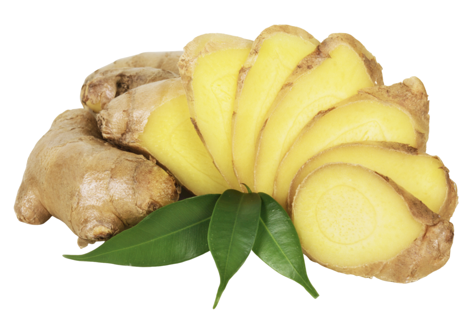 Ginger Extract Powder Supplier