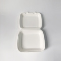 10 inch 1 compartment clamshell