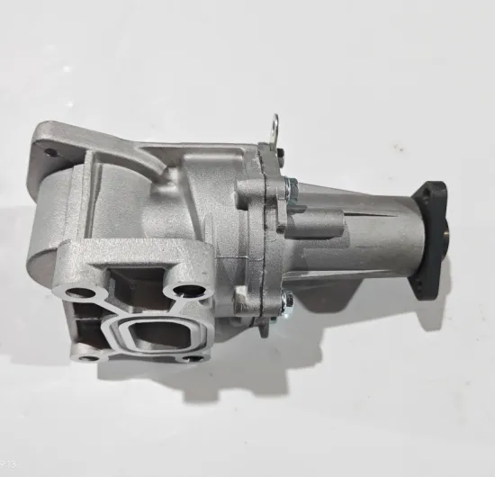 Original Water Pump for DFSK Models: DFM DK15, C37, GLORY330 - 1307100E0200