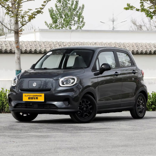 2024 Χονδρική Hot Sale Mini Pure Electric Vehicle