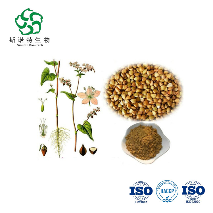 Tartary Buckwheat Extract