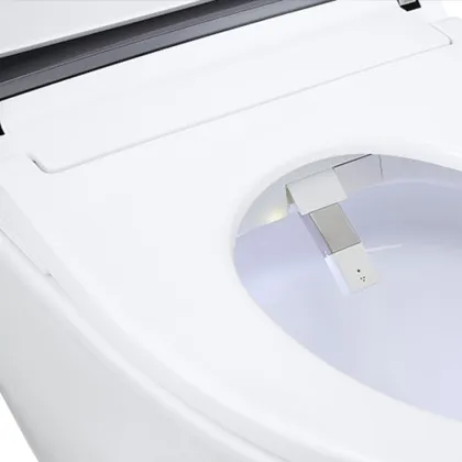 Modern Smart Toilet Bidet Sanitary Ware