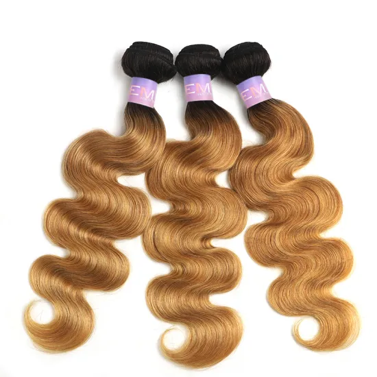 Wholesale Ombre Colors  Hair Bundles Body Wave Hair Extension High Quality Hair From Xuchang