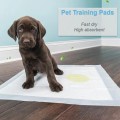 6 layer Pet Training Pads