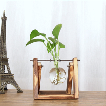 Burned effect Paulowina wood casket for single high borosilicate glass ball for water plant home decoration