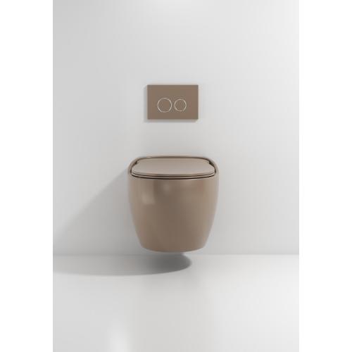 Wall Hung Toilet With Toilet Seat