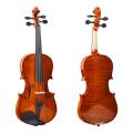 Quality Tayste Full Size R80S Violin