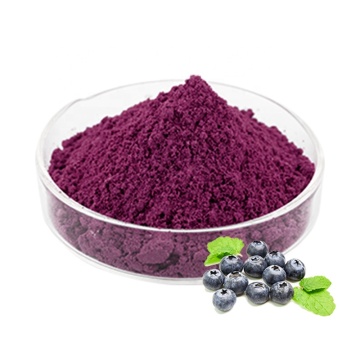 Fourniture d&#39;extrait de bilberry 25% / Bilberry PE (anthocyanidines)