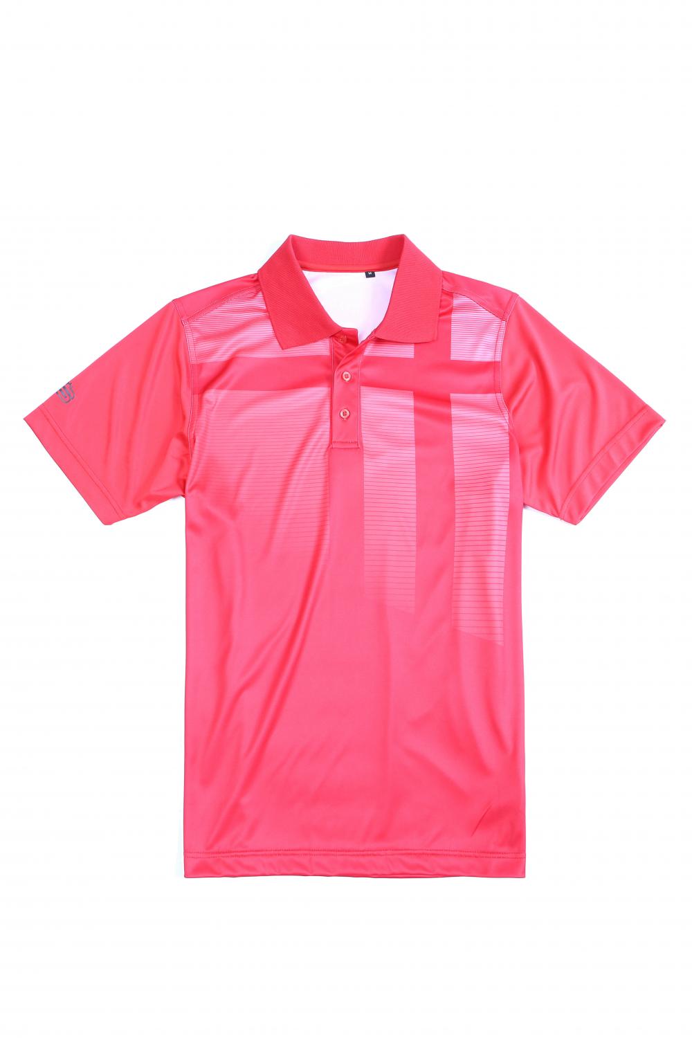 Men's golfer polo