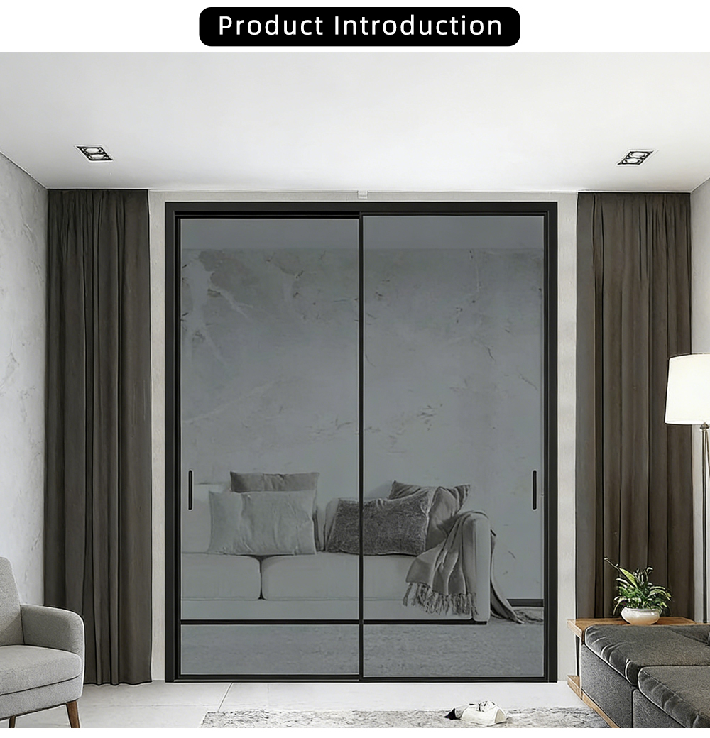 Double Panel Grey Single Glass Sliding Door YJ-R024 X