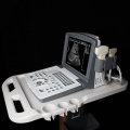 Tragbarer B/W-Diagnose-Ultraschallscanner (eingebauter Akku)