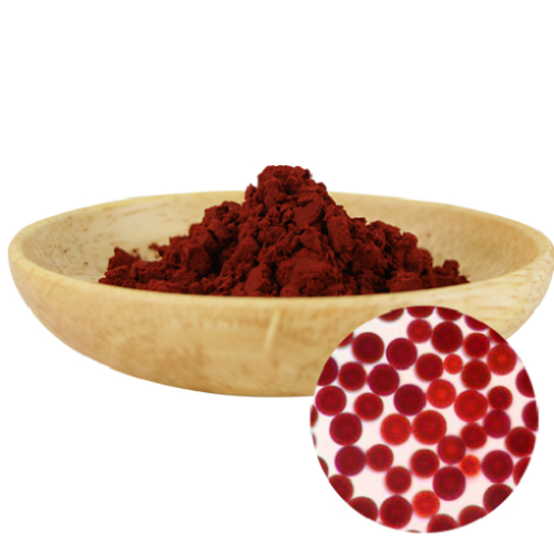 High quality haematococcus pluvialis astaxanthin powder