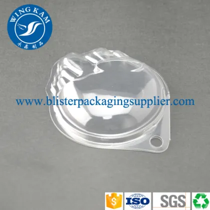Plastic Transparent Soap Wholesale Clamshell