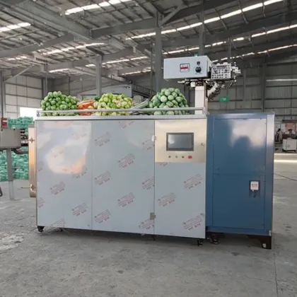 CE Certified Industrial Freeze Dryer Machine for Candy Companies