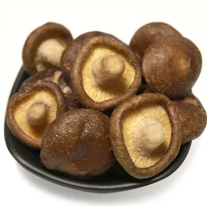 Popular Crispy Snacks: Dried Fruits, Vegetables, and Vegetable & Fruit Chips