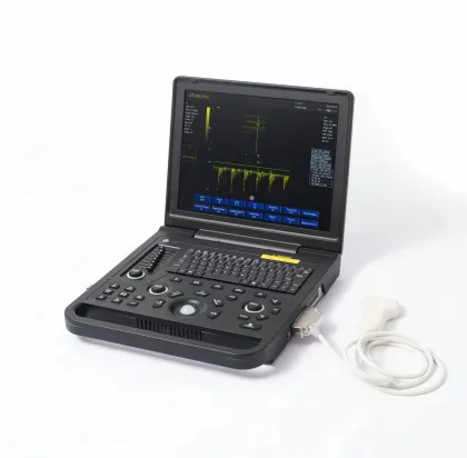 Male polycystic kidney ultrasound diagnostic instrument