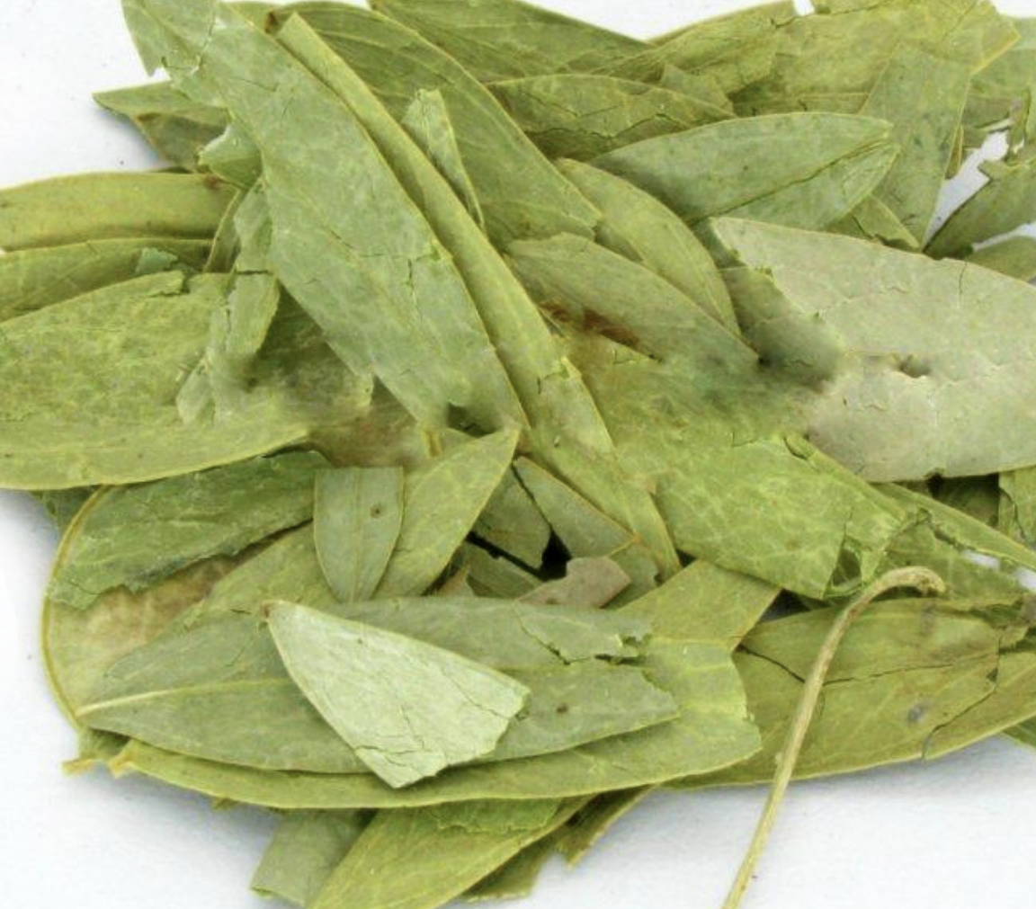 Senna Extract Manufacturer