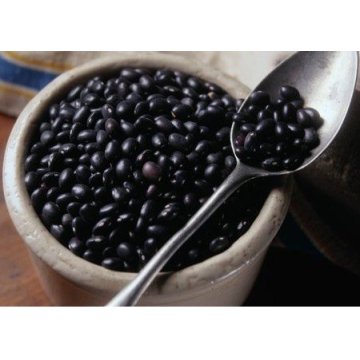 Black Bean (with good quality)