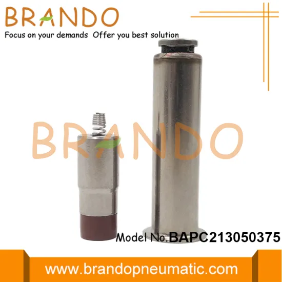 SBFEC Type Pulse Valve Plunger Assembly Rebuild Kit