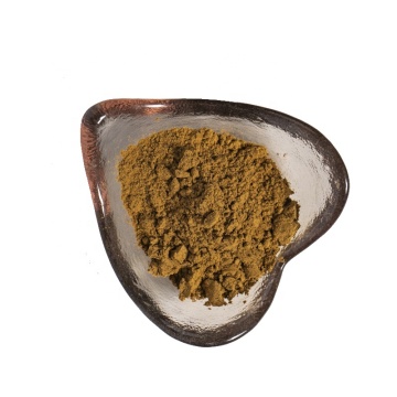 Cordyceps Militaris Estratto all'ingrosso Cordycepin Polvere 1% Estratto di Cordyceps Polvere
