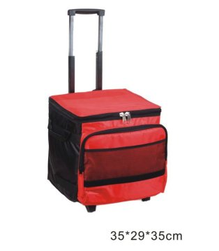 2012 perfect practical cooler bag G2766