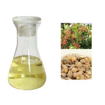 High Quality 100% Pure Frankincense Oil OEM ODM