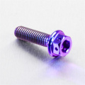 Titanium Screws Metric Screw in Stock