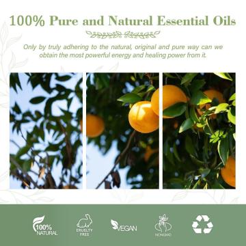 Natural Plant Extract Sweet Orange Oil for Sale Skin Whitening