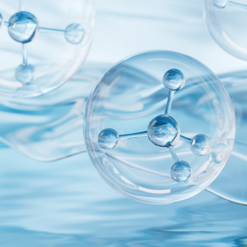 Wholesale Sodium Acetylated Hyaluronate