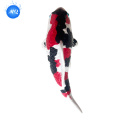/msite/products/detail/productid/68334996/id/1717112.html