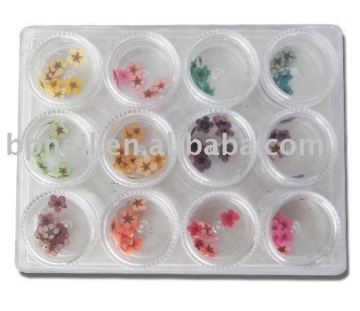 Nail Art Real Flower Set