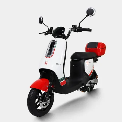 48V 24Ah Electric Moped Scooter with Big Wheels and 1000W Hub Kit