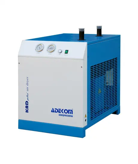 Regenerative Compressed Explosion Proof Air Dryer