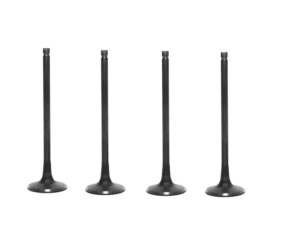 1011A086 Intake Valve for Engine