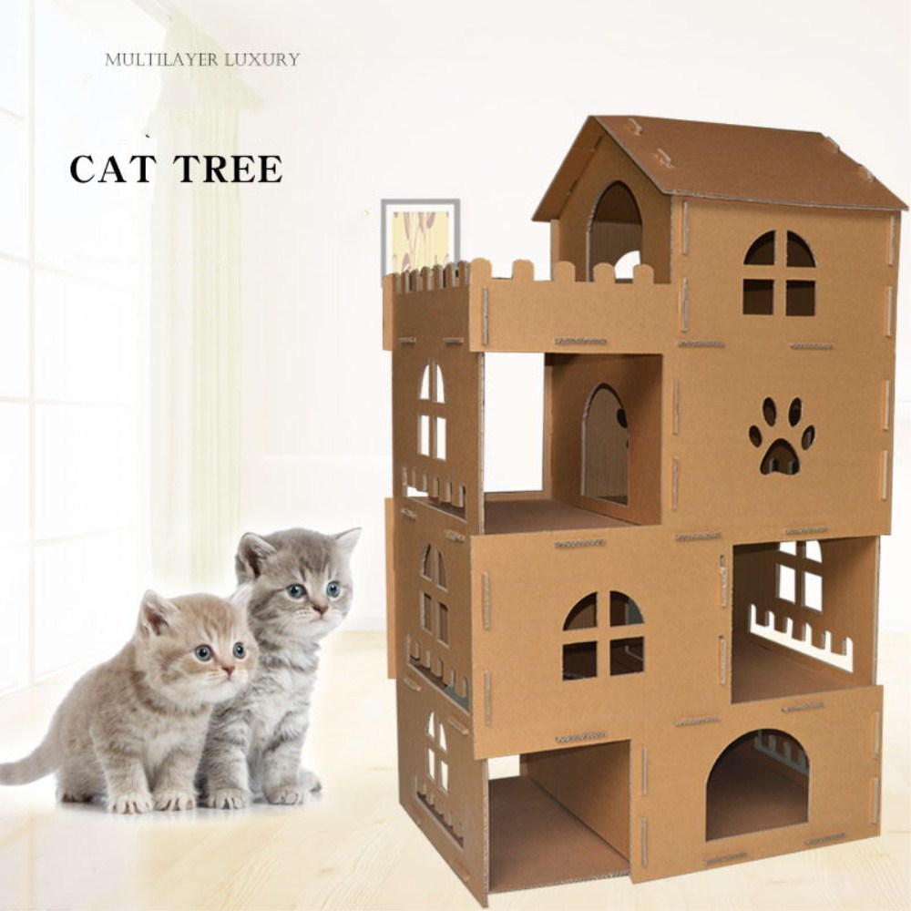 cat climbling tree