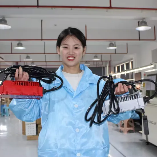 16S LiFePO4 48V 1000W On-Board Charger for Electric Motorcycle and Golf Car (Water-Cooled)