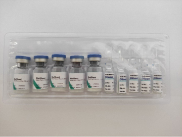 Rabies Vaccine 72 Hour