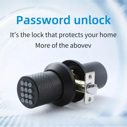 Baoxin Factory Keyless Entry Smart Lock Systems
