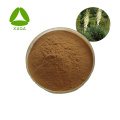 Yucca Extract Powder Saponins 60%