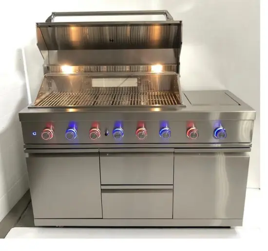 Stainless Steel Gas Grill BBQ with Infrared Burner