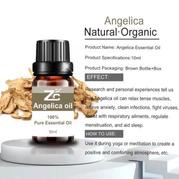 アロマセラピーのための100％純粋な天然アンジェリカエッセンシャルオイル