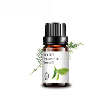 Huile de thé thérapeutique de qualité supérieure de qualité 10 ml d&#39;huile essentielle