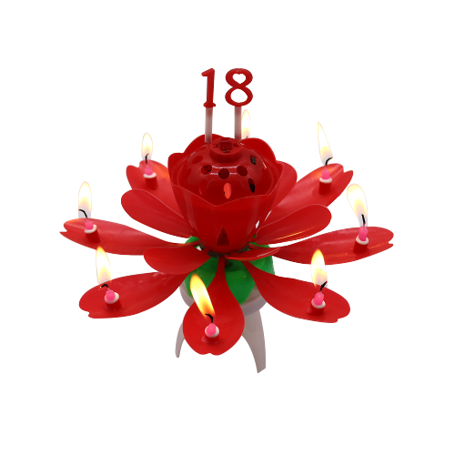 Magic Birthday Candles that Play Music